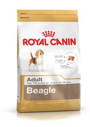 Royal Canin BEAGLE Adult Dog Food