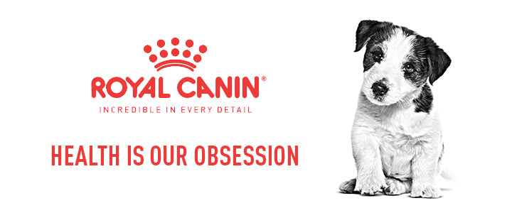 Royal Canin. Health is our obsession - Tidy Pets