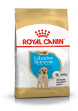 Royal Canin Labrador Retriever puppy