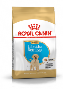 Royal Canin Labrador Retriever puppy