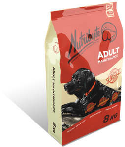 Nutribyte Dog Adult Maintenance