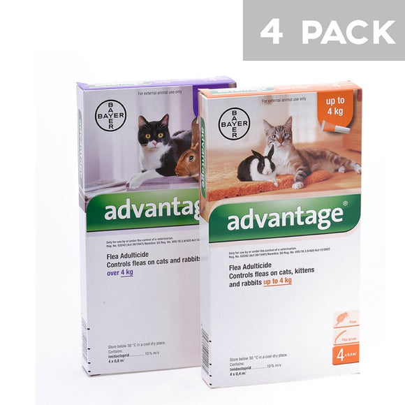 Advantage Flea and Lice Spot On Treatment for Small Cats (0 - 4kg) - Orange