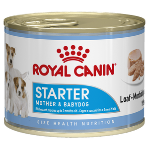 Royal Canin Starter Mousse Can