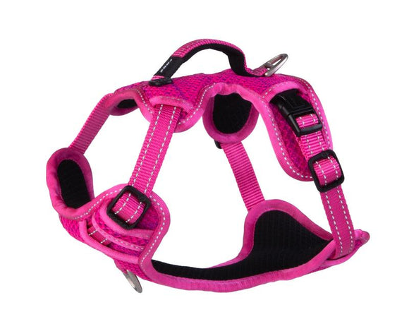 ROGZ Utility Small Nitelilfe Explore Harness, Pink Reflective