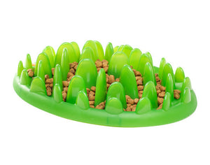 Green Slow Feeder By Northmate - Tidy Pets
